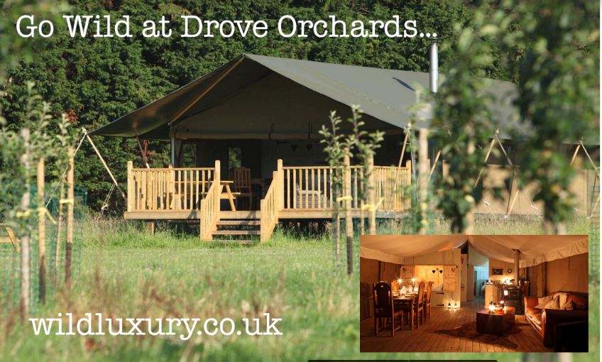 Glamping Norfolk Wild Luxury Drove Orchards Thornham